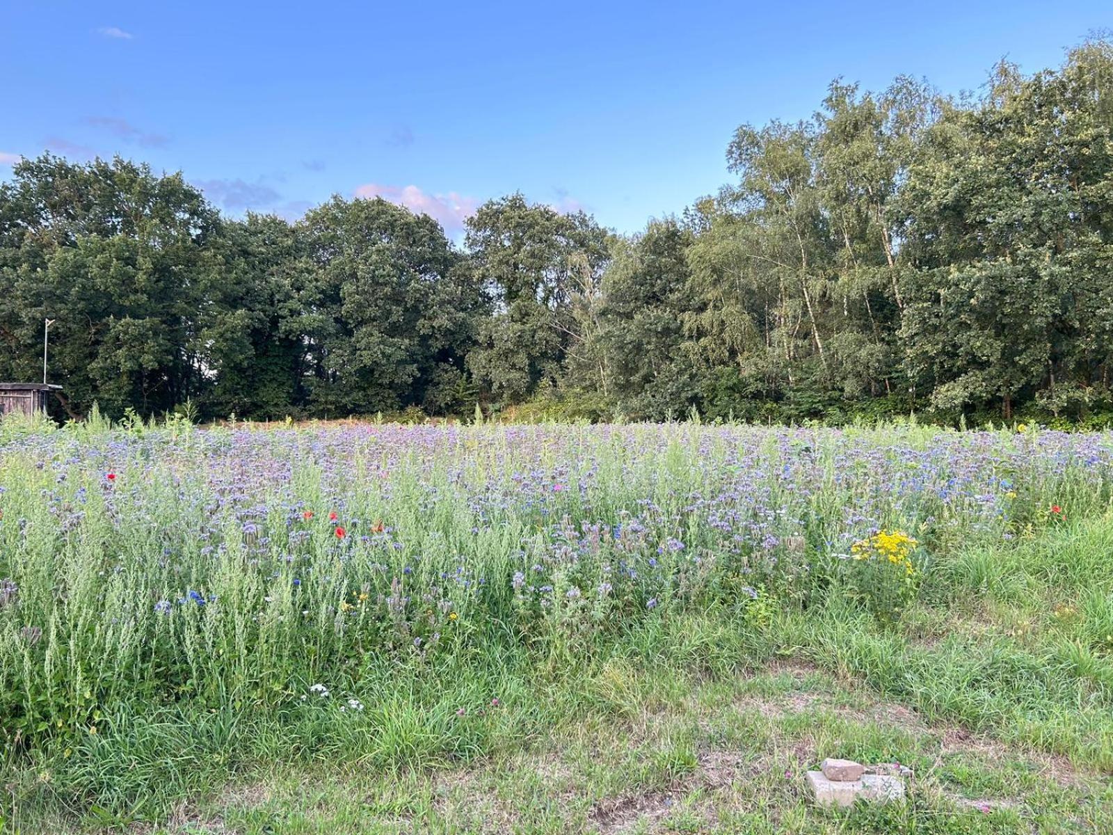 Xantener Ferienhaus Heeser Weg Bagian luar foto