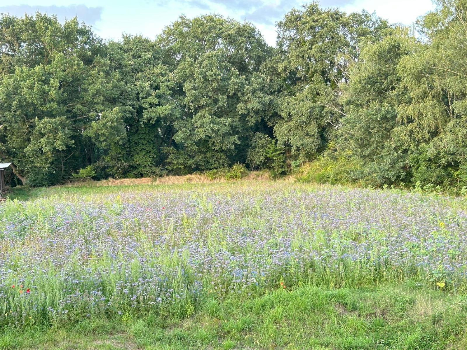 Xantener Ferienhaus Heeser Weg Bagian luar foto